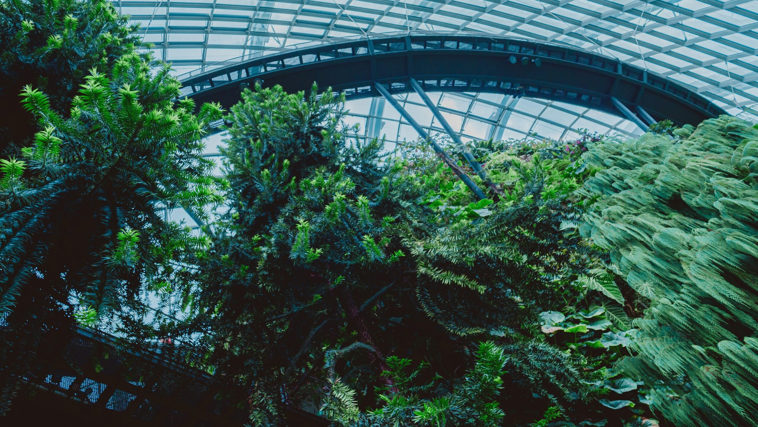 Hello World Featured Image